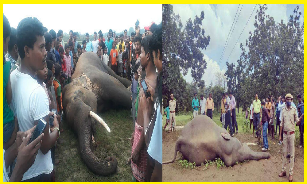 Gajraj dies after being hit by 11000 high voltage electric wire in Simdega, crowd of villagers