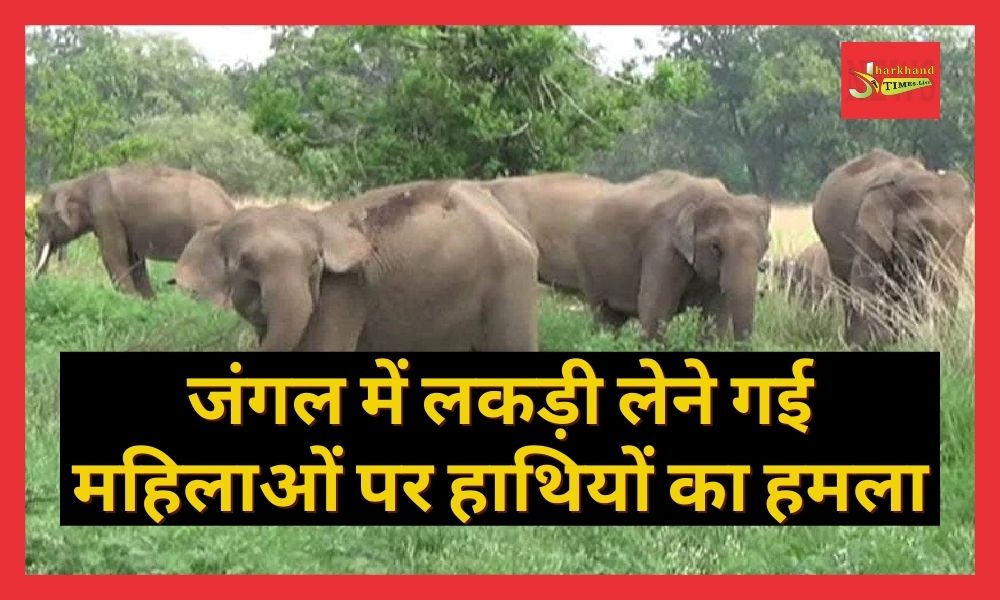 Wild elephants attack women who went to collect wood in Ichagarh