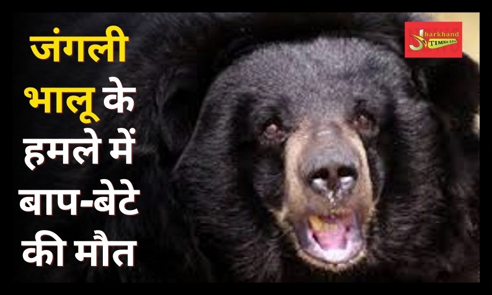 Wild bear attacked 3 people of same family in Gumla, father and son died