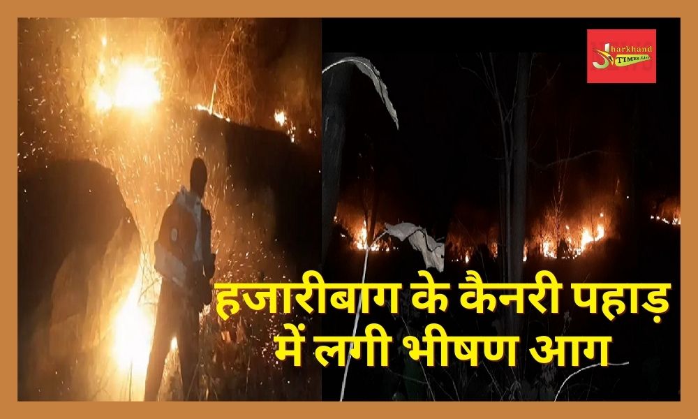 Fierce fire in Canary mountain of Hazaribagh