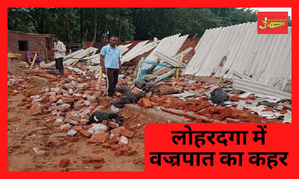 Thunderstorm havoc in Lohardaga, 22 goats died simultaneously due to wall collapse