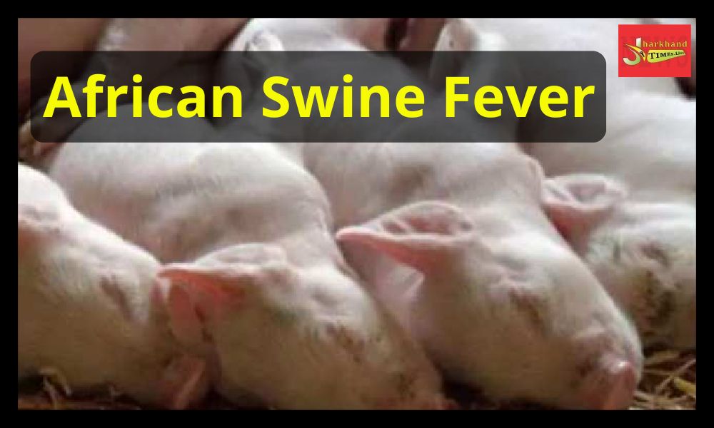 More than 800 pigs died in the state due to African Swine Fever