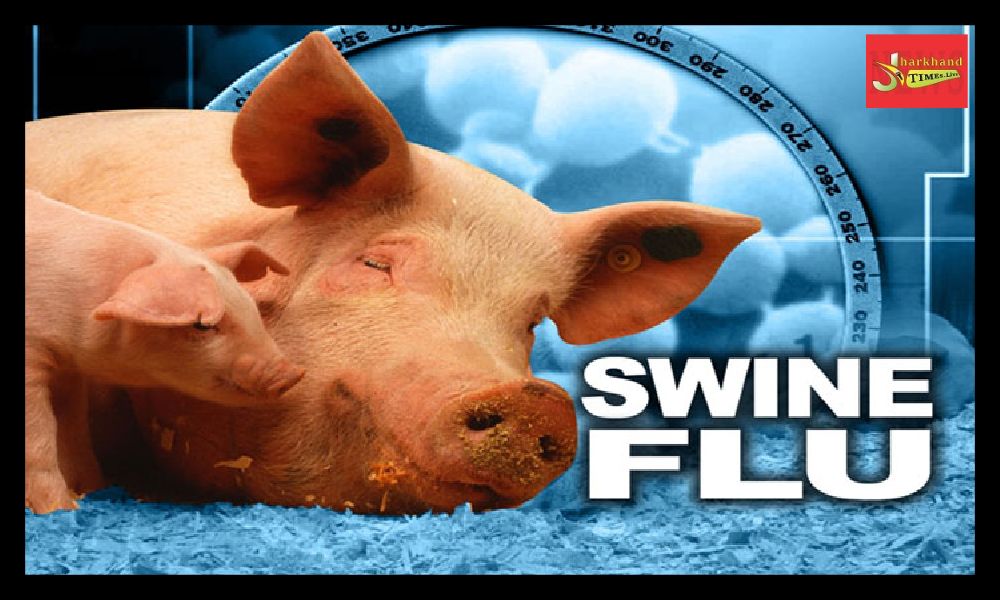 Swine flu knocked in Jharkhand, 4 infected patients found