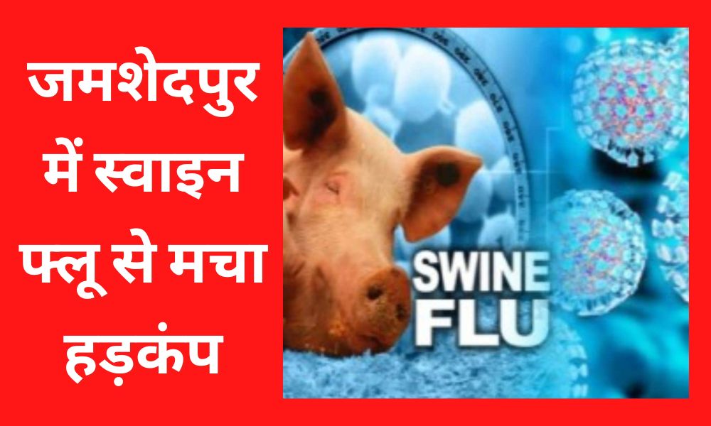 Swine flu stirred up in Jamshedpur, 8 patients found together