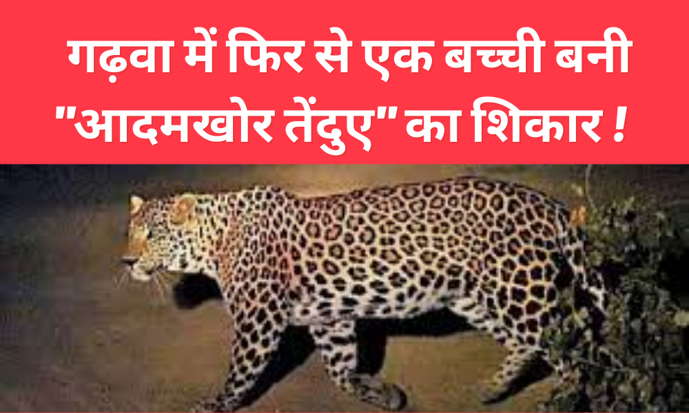 In Garhwa again a girl became victim of "man-eating leopard"!