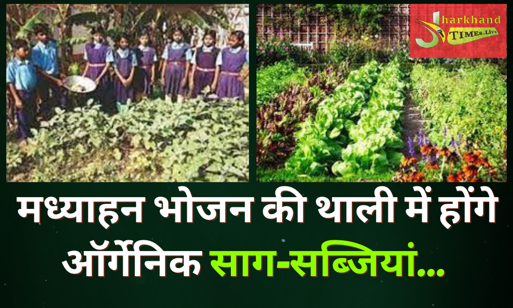 Kitchen gardens will be opened in 5000 government schools of Jharkhand!