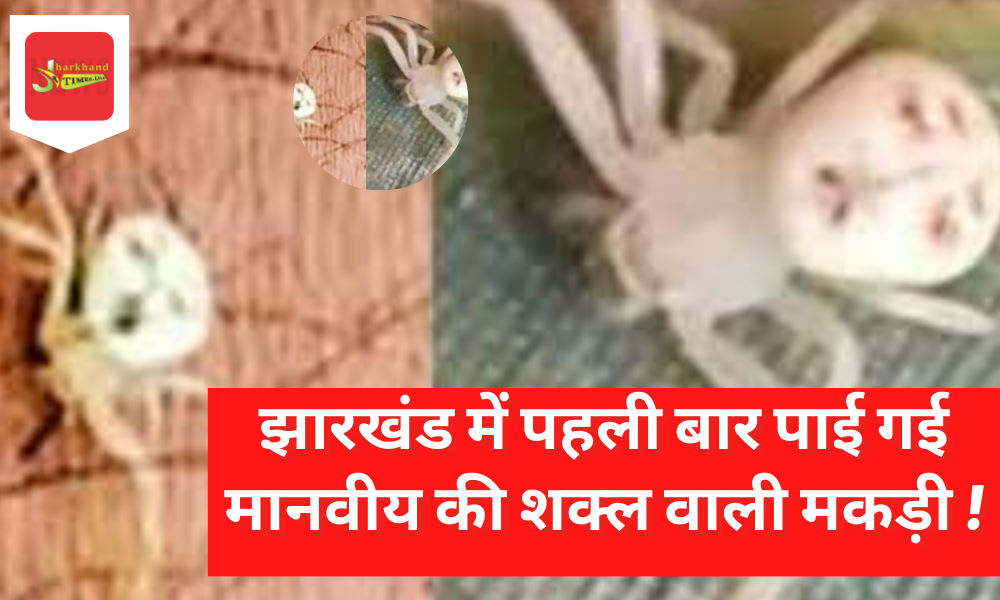 Spider with human face found for the first time in Jharkhand, people told it to be from another planet!